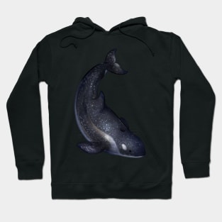 Cozy Cetona Orca Hoodie